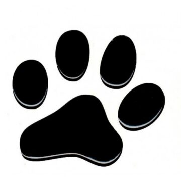 Logo Sta.li.n. sro
